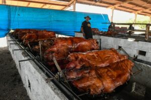 Com apoio do Governo de MS, Festa do Leitão no Rolete movimenta economia e valoriza cultura regional