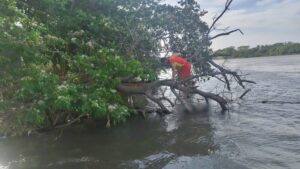 Corpo de homem desaparecido no Rio Taquari em Coxim é encontrado pelos Bombeiros