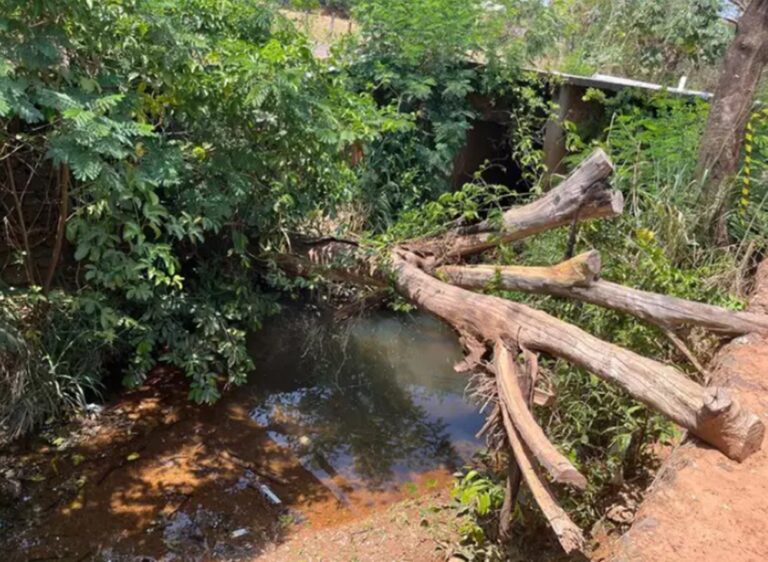 Corpo de idoso é encontrado em córrego na região central de Rio Verde