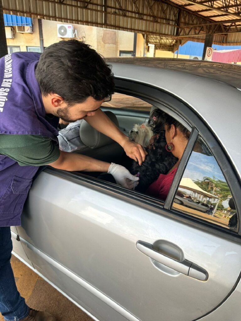 Drive-thru de vacinação antirrábica na Prefeitura imuniza mais de 1,7 mil animais