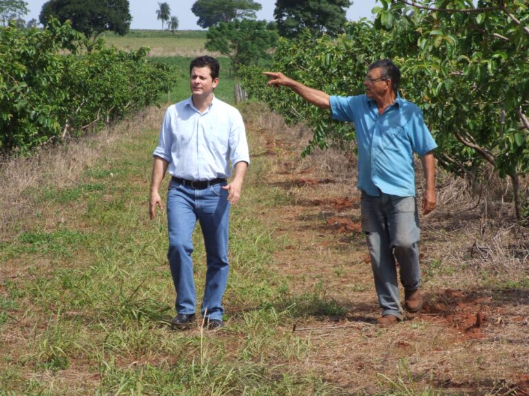 Engenheiro Agrônomo: a profissão que ascende junto com o agro e a tecnologia