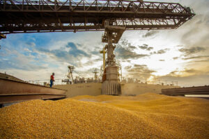 Exportações de milho avançam em setembro em compasso com demanda por carnes e etanol