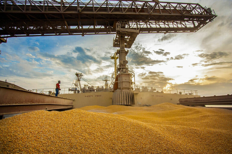 Exportações de milho avançam em setembro em compasso com demanda por carnes e etanol