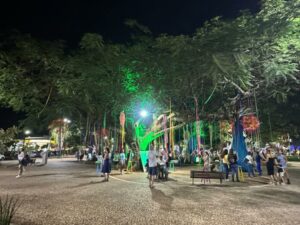 FLIB 2025: confira as atrações do fim de semana