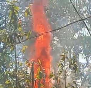 Falta de manutenção da Energisa provoca incêndio e deixa moradores sem energia na zona rural de Coxim