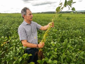 Goiás inicia plantio de soja da safra 2025/2026
