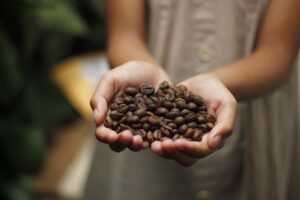 Preços do café recuam 11% em uma semana
