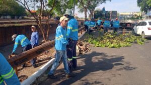 Prefeitura intensifica trabalho de limpeza e manutenção de vias no centro e nos bairros