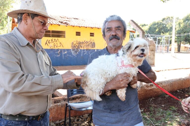 Prefeitura leva vacina antirrábica para animais sob cuidados em Ong’s e de protetores