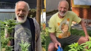 Ricardo Petraglia explica plantação de maconha: "Polícia vem"