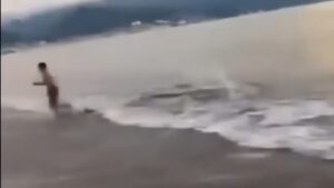 Turista escapa por pouco de ataque de crocodilo no México