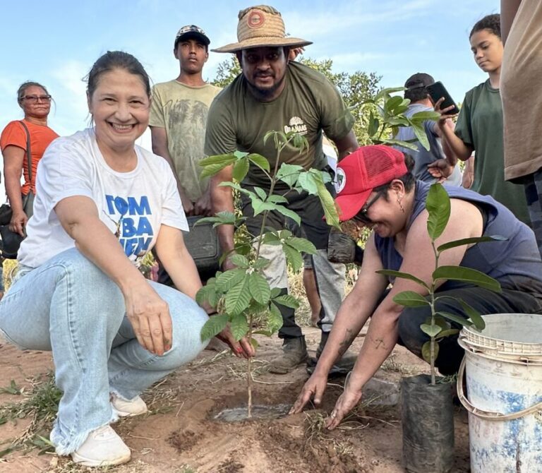 Vereadora Luiza celebra Dia da Árvore com plantio de mudas na nascente do Córrego Formiga