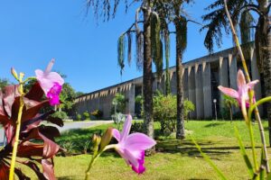 <b>Agenda</b>: 7ª Conferência Estadual dos Direitos Humanos é destaque da semana