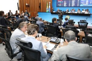<b>Ordem do Dia</b>: Projeto sobre certidões criminais para entidades vai à redação final