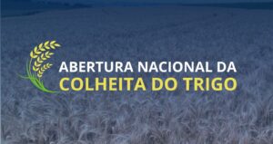 Abertura nacional da colheita de trigo nesta quinta-feira (09) no RS