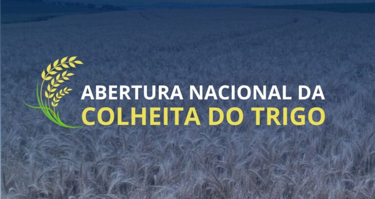 Abertura nacional da colheita de trigo nesta quinta-feira (09) no RS