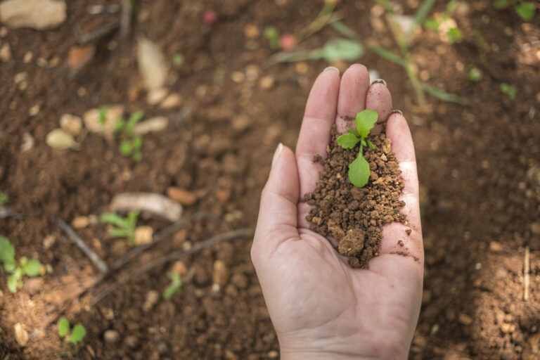 Brasil lança rede para liderar a transição global da agricultura sustentável
