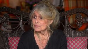 Brigitte Bardot, de 91 anos, é internada em estado grave
