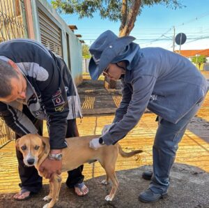Campanha de vacinação contra raiva de cães e gatos segue em novos bairros de Campo Grande