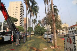 Campo Grande se prepara para ganhar nova iluminação natalina nas principais avenidas