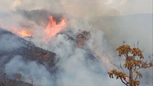 Cetesb prorroga suspensão de queimadas em SP até fim do mês por risco de incêndios
