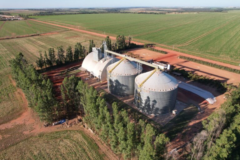 Em MT, produtores enfrentam dificuldades para acessar crédito no início do plantio de soja