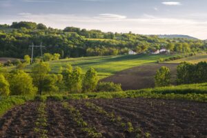 Evento virtual da Embrapa destacará soluções sustentáveis para a indústria de alimentos