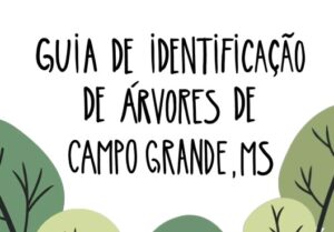 Guia rápido: vejas as árvores que você pode plantar e aquelas que devem ser evitadas