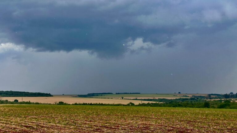 Ifag aponta alta de apenas 0,5% na produção de soja em Goiás