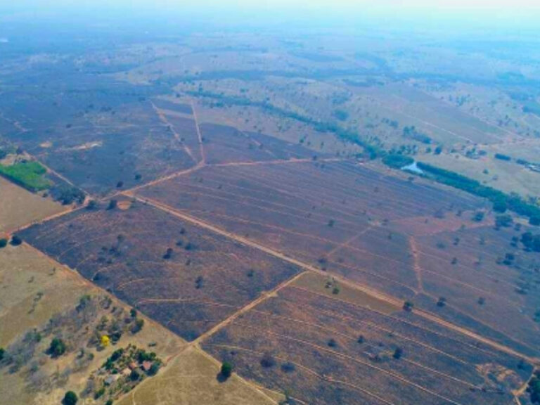 Incêndio de grandes proporções em Coxim devastou mais de 2 mil hectares; MPMS apura responsabilidade de empresa