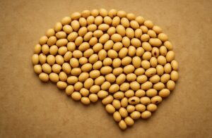 Incerteza no mercado da soja? La Niña e trabalhos limitados preocupam sojicultores no Brasil