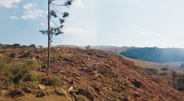 Iniciativa ajuda produtores paulistas a recuperar áreas degradadas