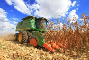 Oferta de milho em Mato Grosso será menor na safra 25/26; veja os números