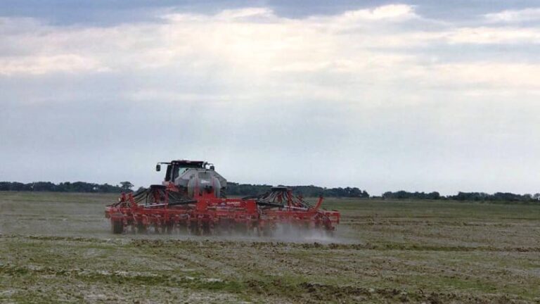 Plantio de arroz no RS alcança 38% de área prevista