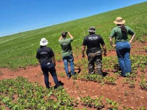Produtor é autuado por plantio irregular de soja no RS