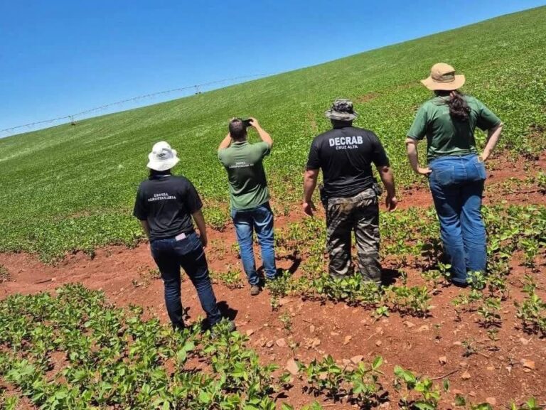 Produtor é autuado por plantio irregular de soja no RS
