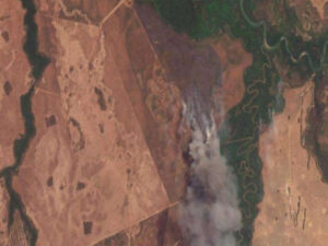 Queimada destrói 468 hectares de vegetação nativa no Cerrado, e MPMS abre investigação em Sonora