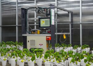 Robô usa luz e IA para diagnóstico precoce de doenças em soja e algodão