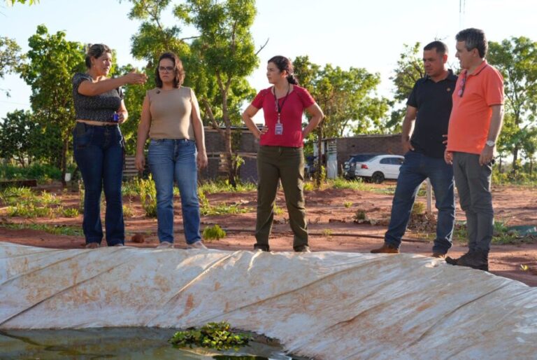 Sem luz e com perdas na produção, famílias da Agrovila Campão Orgânico pedem regularização e dignidade