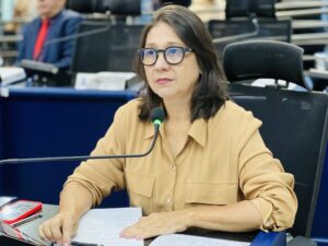 Vereadora Luiza promove audiência pública para avaliar Rede de Proteção à Criança e ao Adolescente em Campo Grande