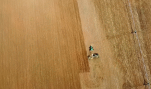 ‘Preços são ruins e questões climáticas ainda são difíceis’, afirma presidente da Aprosoja MG