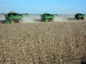 ‘Produtor precisa agir com cautela para evitar frustrações na safra 2025/26’, diz analista