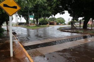 Ações preventivas da prefeitura reduzem quedas de árvores e alagamentos durante temporal
