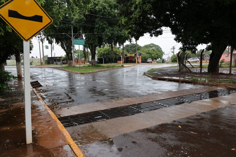 Ações preventivas da prefeitura reduzem quedas de árvores e alagamentos durante temporal