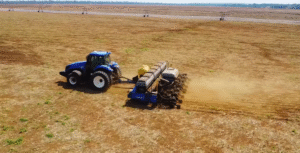 AgRural aponta replantio de soja em MT; semeadura ultrapassa 60%