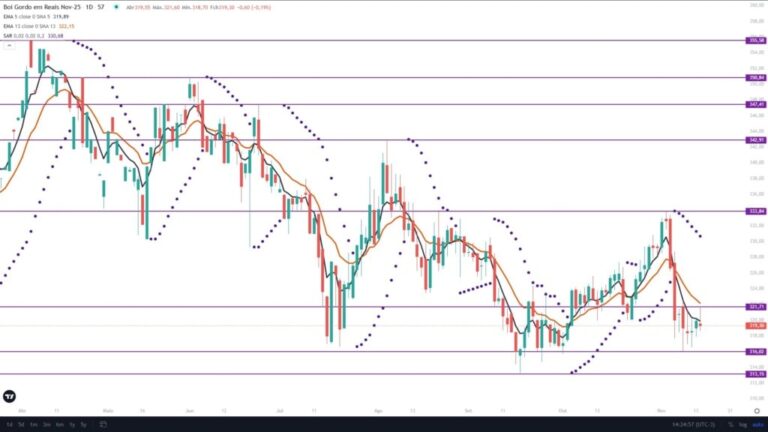 Boi gordo: primeira quinzena de novembro é marcada por forte turbulência no mercado