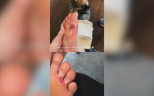 Bruna Griphao mostra resultado do ensaio de rua do Salgueiro