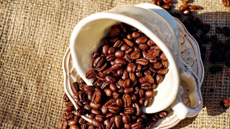 Cafés especiais de Minas Gerais se consolidam entre os melhores do Brasil