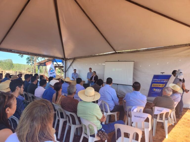 Campo Grande avança na organização da cadeia ovina