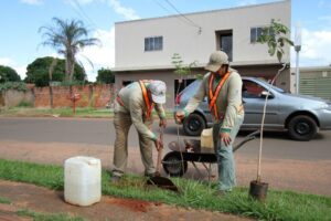 Campo Grande é destaque nacional em catálogo de ações climáticas urbanas